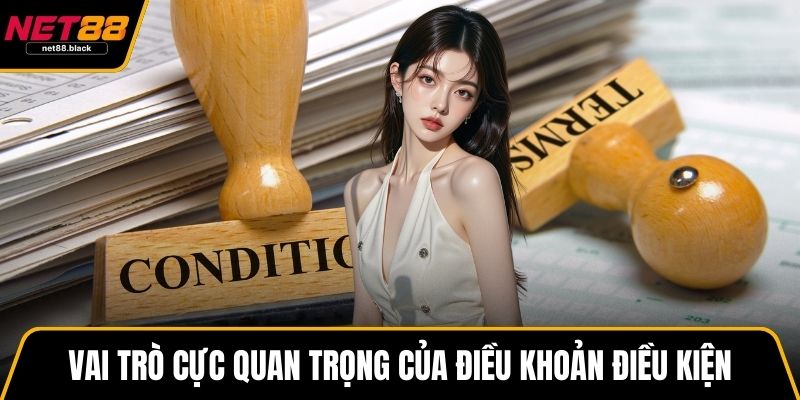 Vai trò cực quan trọng của điều khoản điều kiện